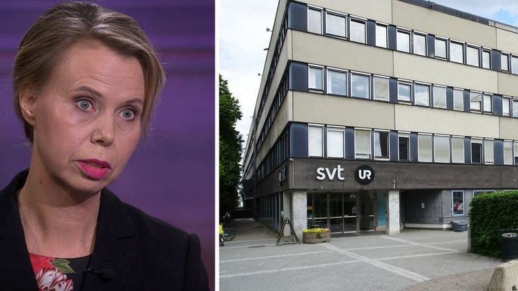 Hur mycket kostar de skador som public service åsamkar Sverige?