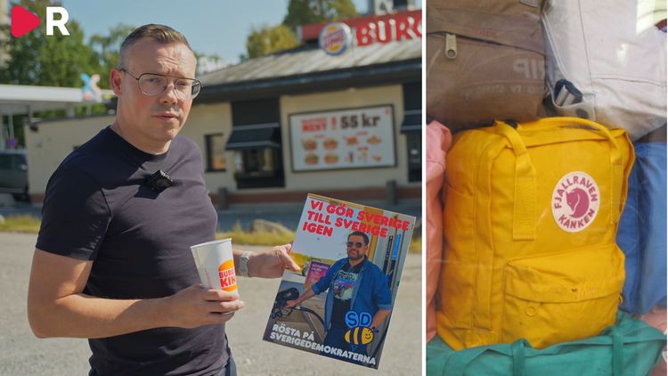 Fjällräven i rävsax efter SD-draget – sågas av experter