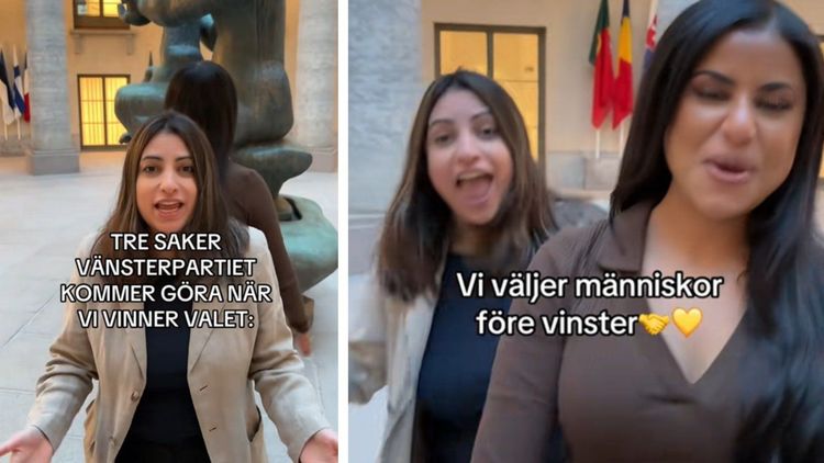 Dadgostars TikTok-danser har inte ökat förtroendet