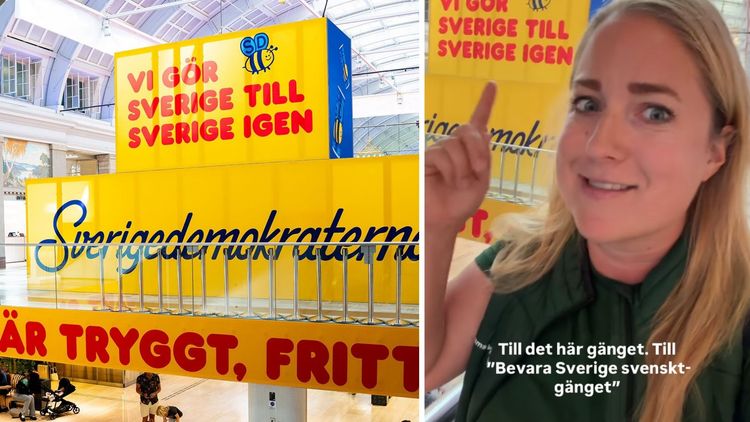 SD: "Vi gör Sverige till Sverige igen" – C-toppen får "kalla kårar"