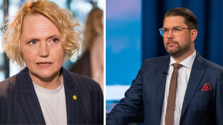 Experterna: Åkesson fick rätt