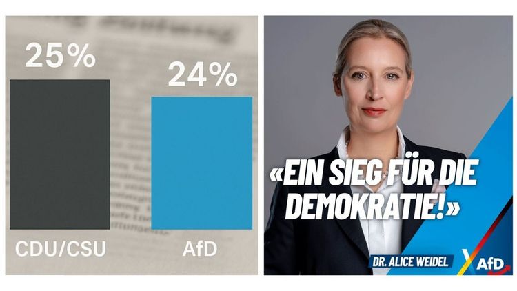 Tyska AfD når rekordhöjder i ny opinionsmätning