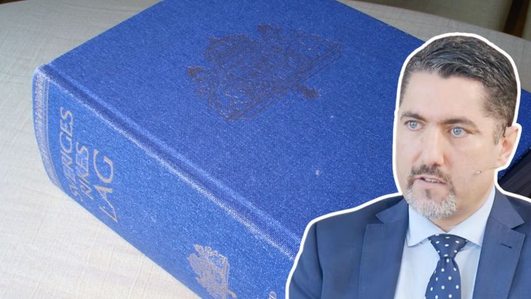 Nima Rostami: Regeringen vill cementera grundlagstexten på bekostnad av demokratin