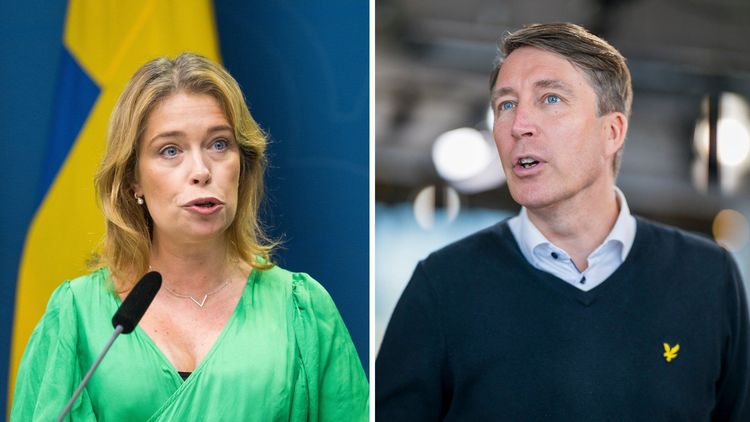Richard Jomshof: Hoppas att Daniel Riazat (V) åker hem