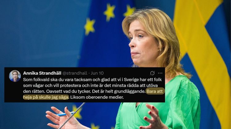 Strandhäll sågas – försvarade Palestinaaktivister som gick till attack