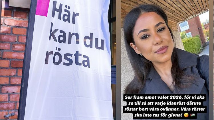 Krönika: Demografin avgör den svenska demokratins öde
