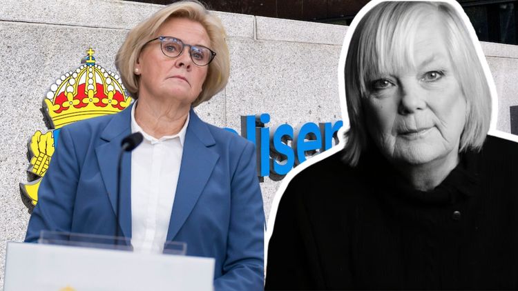 Helene Bergman: Våldet från Palestinademonstranterna inget nytt – men polisen har blundat