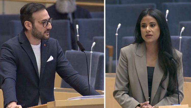 Vänsterpartister pudlar – delade klipp med Hamasflaggor