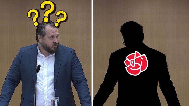 Riksdagen skärper gränskontrollen: ”Än en gång saknas sossarna i en migrationsdebatt – pinsamt”