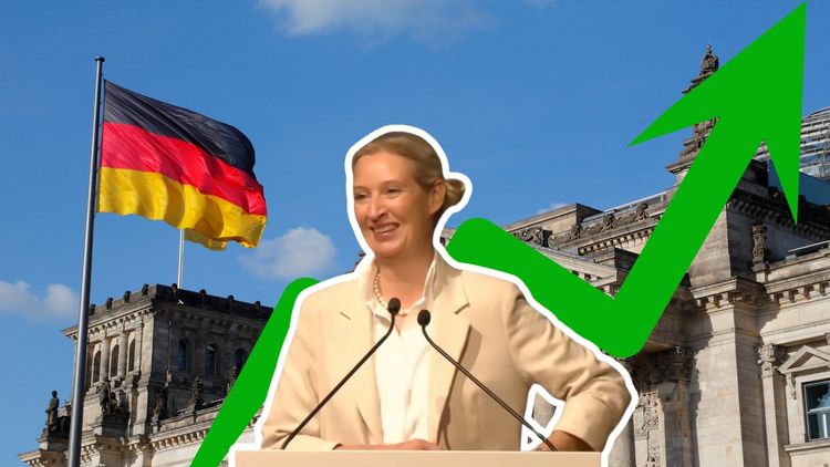 Nytt rekord för nationalistiska AfD i opinionen – rekordhögt