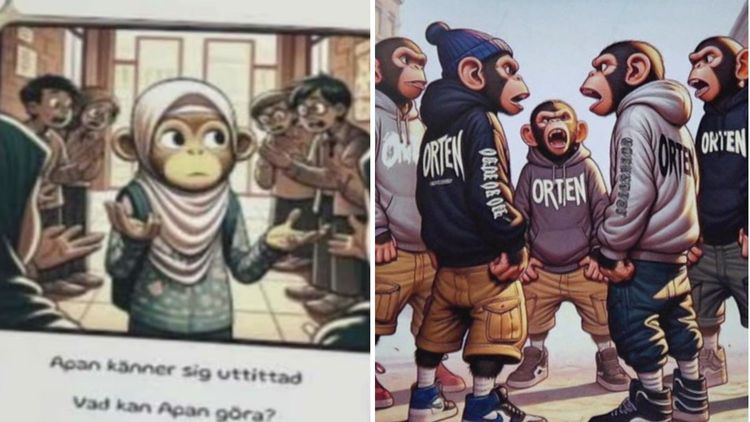 DO kallar Göteborgs socialförvaltning till möte efter raseri över "Arga apor"
