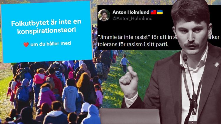 Vänstern rasar mot SD-bild om folkutbytet: "Inte en konspirationsteori"