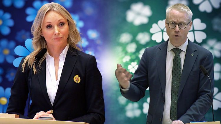 Stegrud (SD) om Centerpartiet: "Jag hör aldrig någonsin er prata om svenskar"