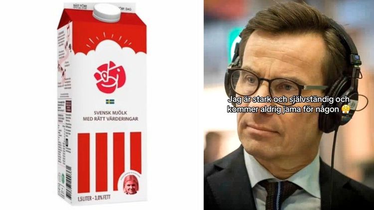 Socialdemokraternas TikTok får vänstern att skämmas: "Inte såhär man vinner val"