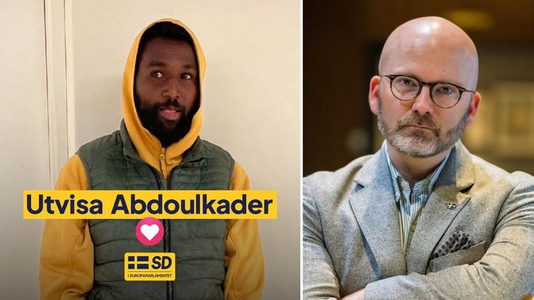 Trots 16 brott får migranten stanna – Weimers (SD): Utvisa honom