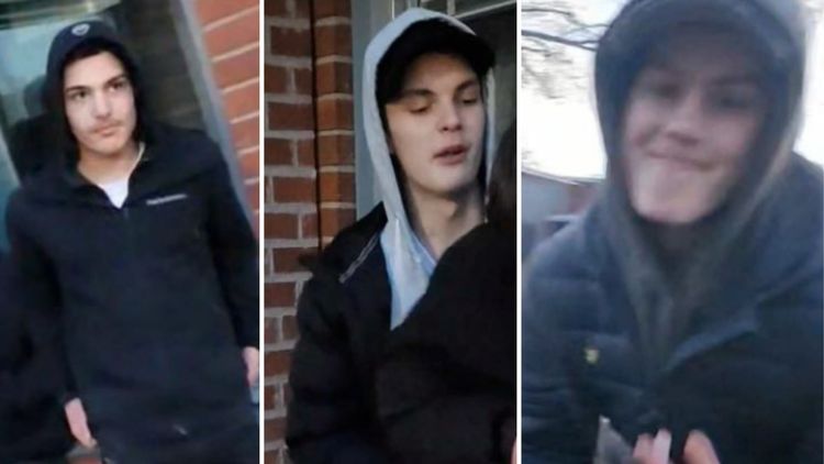 Pojke misshandlades – tvingades tugga på hundbajs