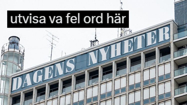 DN-skribent pudlar om SD-utspel: Inte "utvisning" att återvandra