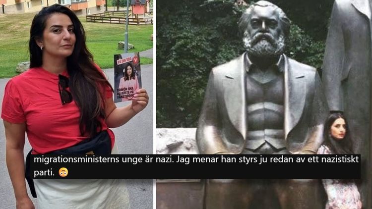 Kallade SD "nazistiskt parti" – ska styra utbildningsutskottet