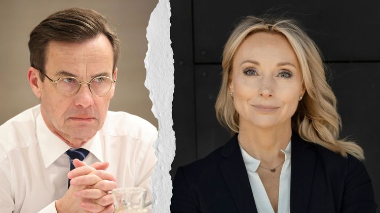 Regeringen släpper in fler kvotflyktingar – Stegrud: "Sverige är fullt"