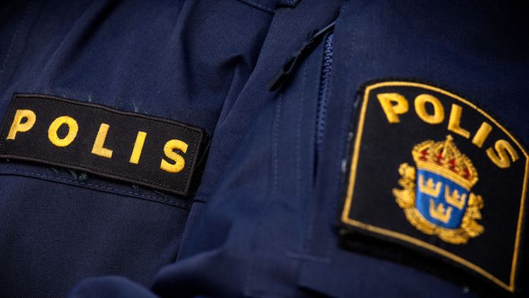 Polisen: Gängen stjäl systematiskt från ensamma äldre kvinnor