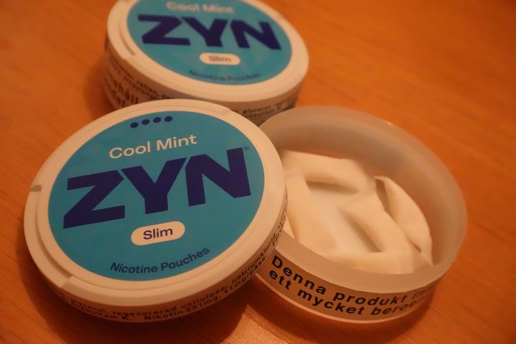 Vitt snus förbjuds i Frankrike