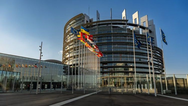 Uppror mot Strasbourg: Dick Erixons (SD) initiativ för att stoppa flyttcirkusen