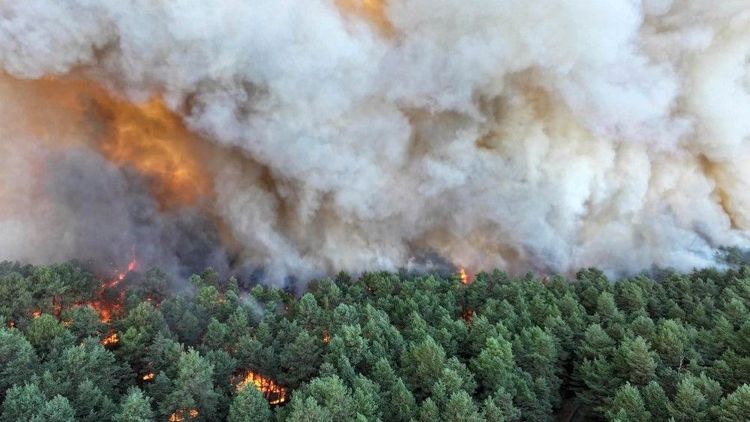 Anlagd brand i historisk skog - två personer gripna för mordbrand