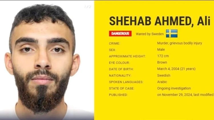 Ali Shehab Ahmed gripen i Irak