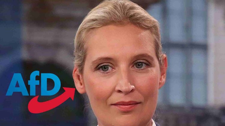 Tyska säkerhetstjänsten stämplar Alternativ för Tyskland som ett "högerextremistiskt parti"