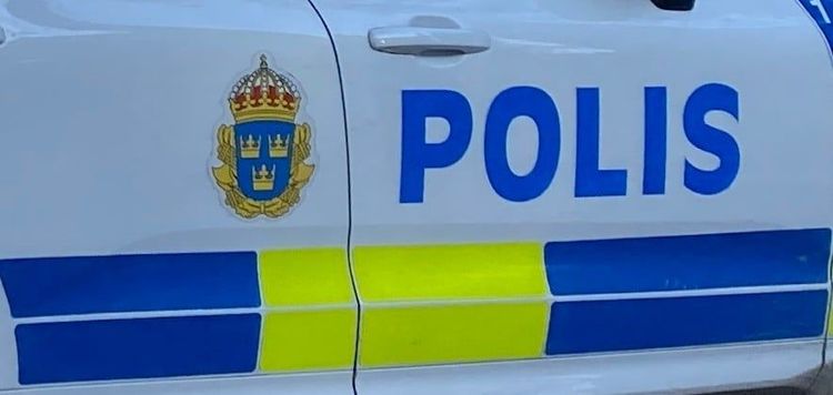 Polis.jpeg