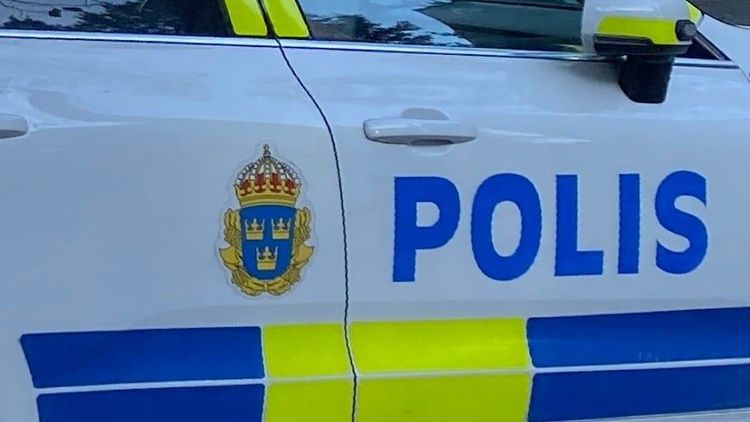 Polis.jpeg