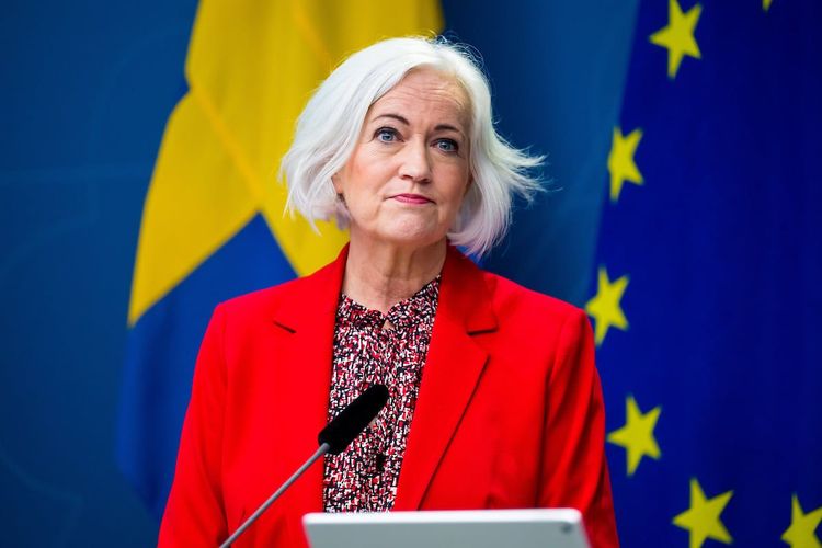 Sjukvårdsministern avgår