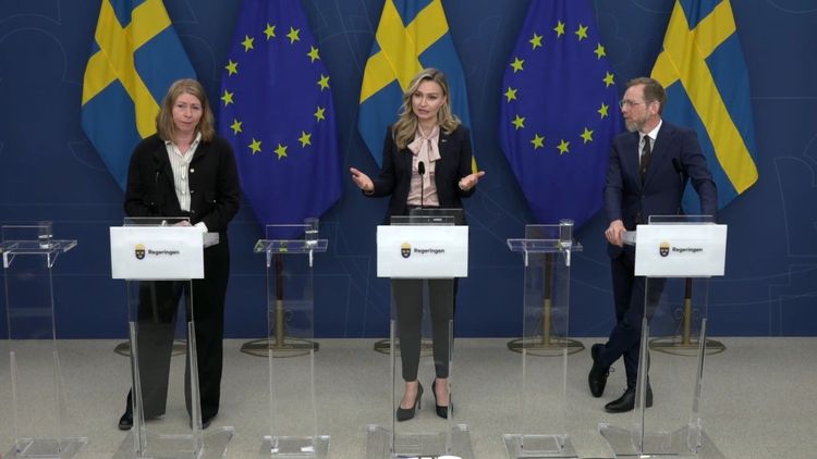 Tidöpartierna föreslår fördubbling av antalet IVF-försök