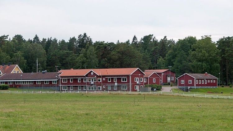 Rödjan.jpg