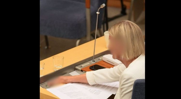 Moderaternas bildhån mot Magdalena Andersson