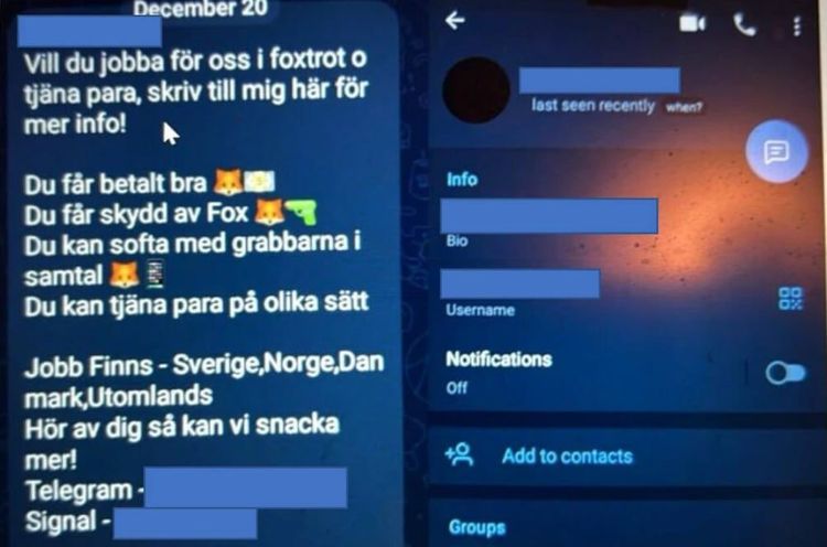 Tonåringar bosatta i Sverige rekryteras för morduppdrag i Norge – betalning upp till 20 miljoner
