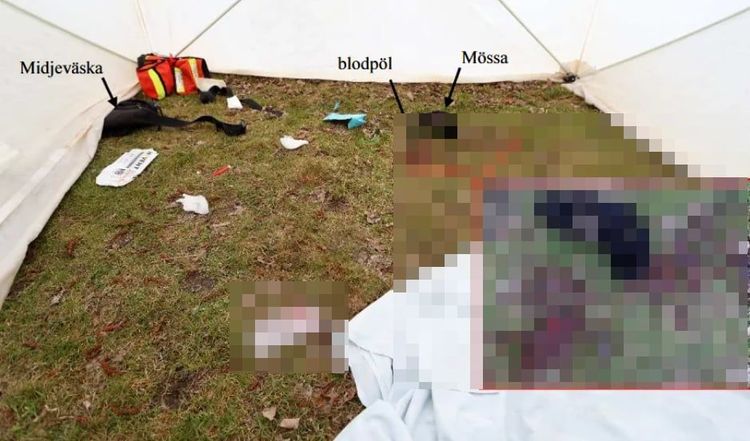 15-åring åtalas för kallblodigt mord på främling i Norrköping
