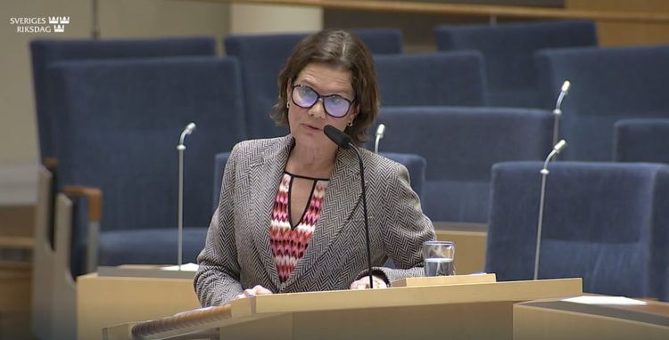 S-förslag om fler medborgarskap föll – en rösts marginal