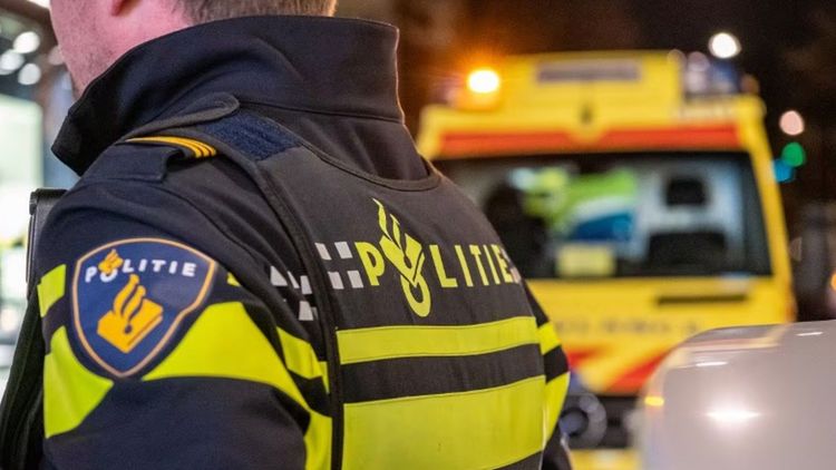 Tonårig transflicka knivhugger sina föräldrar till döds
