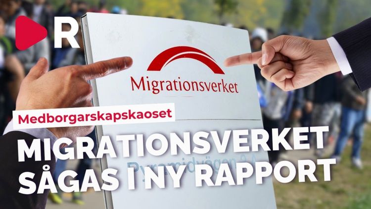 Så vill utredare förändra uppehållstillstånden