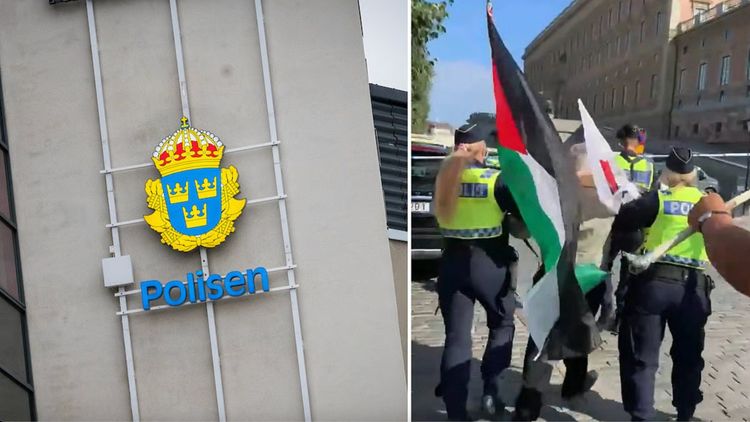 Riksrevisionen: Så blev polisens omorganisation