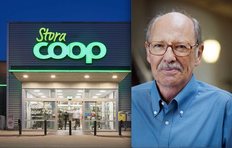 Professor: Kartlägg det socialdemokratiska bolagsimperiet