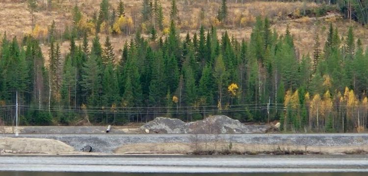 Skogsstyrelsen: Det orsakade urspårning efter skyfallen i Ångermanland
