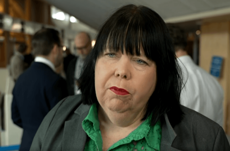 Vänstern slår tillbaka mot valfusk anklagelser: "Rasism och hot mot demokratin" 