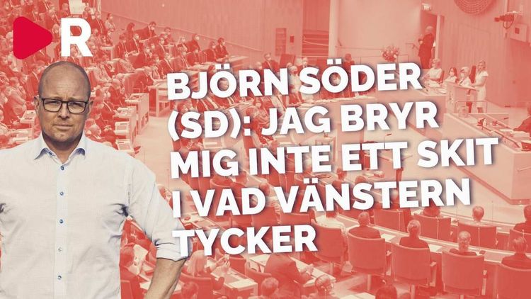 Björn Söder: "Vi måste få bort aktivisterna inom UD"