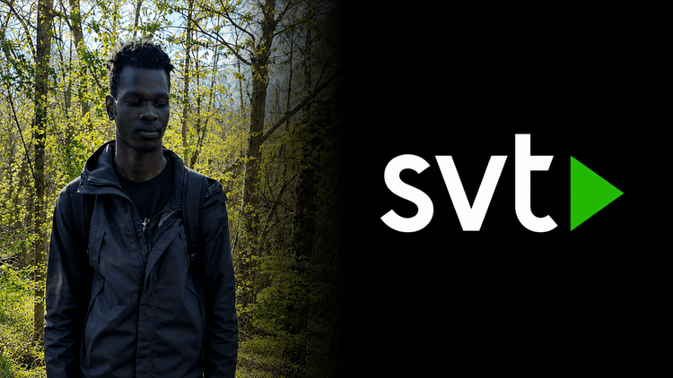 Migrant blottade sig 14 gånger – SVT utelämnar flera väsentliga uppgifter