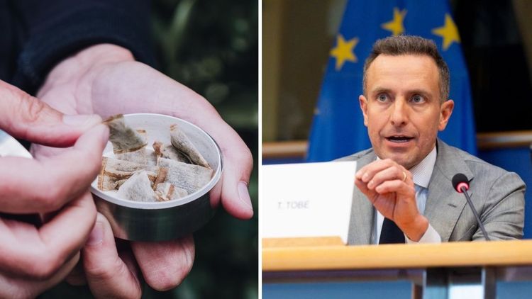 Svenska politikerna rasar mot Frankrike: "Total idioti"
