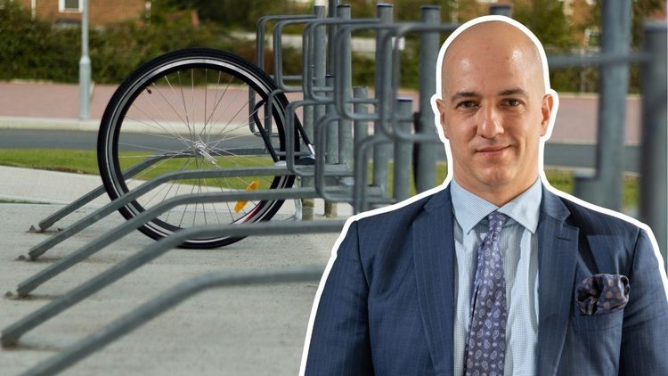 Nima Sanandaji: Sverige måste sätta stopp för småbrotten