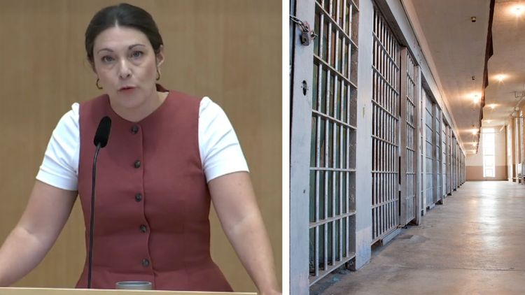 Socialdemokraterna: Därför ska Sverige behålla straffrabatten