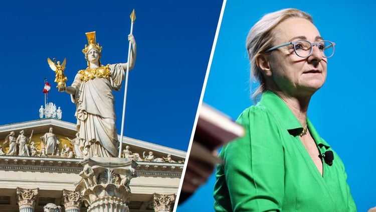 Nyvalda parlamentsledamoten: Det finns ingen brandmur mot nationalister i Österrike